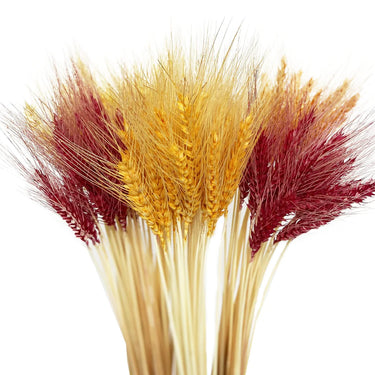 Spikes Preserved™